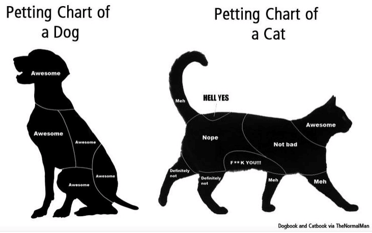 Screen Shot 2014-06-27 at 6.45.49 AM