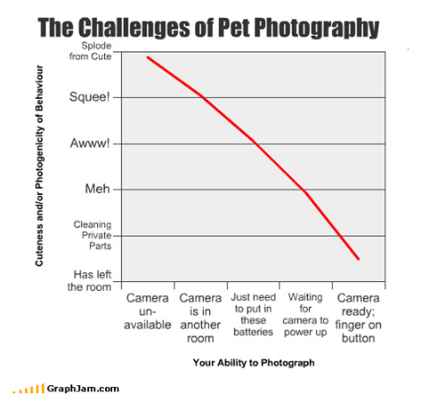 Screen Shot 2015-02-04 at 2.56.54 PM