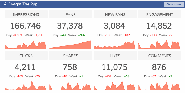 dasheroo data dashboard: social media engagement