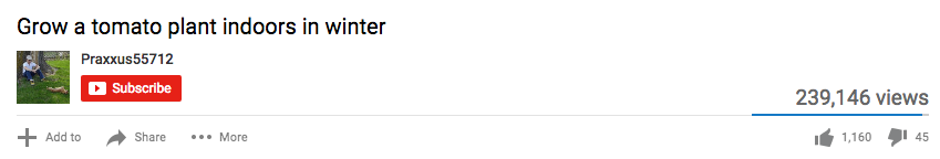 YouTube Analytics - How to grow tomatoes indoors