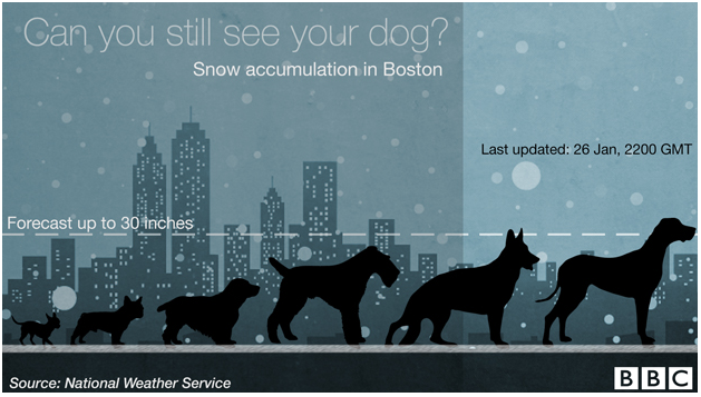 Charting the snow in Boston by your dog breed.