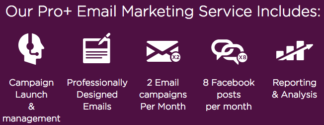 VerticalResponse Pro feature - email marketing