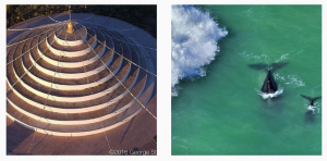 Instagram rates: National Geographic